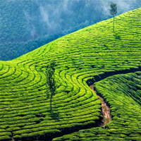 Cochin