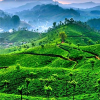 Cochin