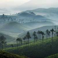 Cochin